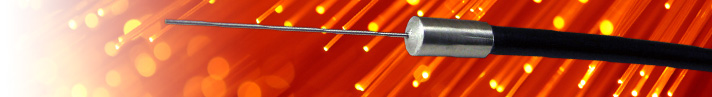 Photo of Philtec Sensor